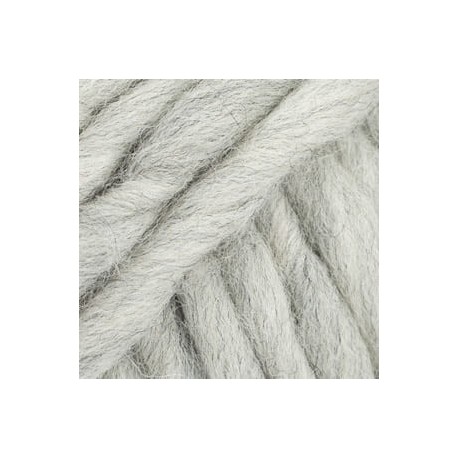 Polaris 11 - gris claro
