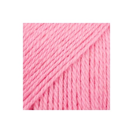 Flora 36 - pétalo de rosa