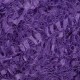 Lemans 056 - violeta